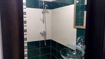 Фото номера Двухместный номер с 1 кроватью Гостевой дом Guesthouse White Margarit г. Мелник 38
