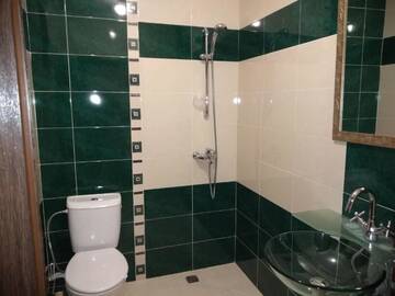Фото номера Двухместный номер с 1 кроватью Гостевой дом Guesthouse White Margarit г. Мелник 12